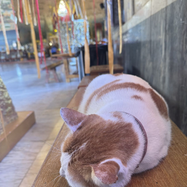 วัดโพธิ์ชัยหนองคาย