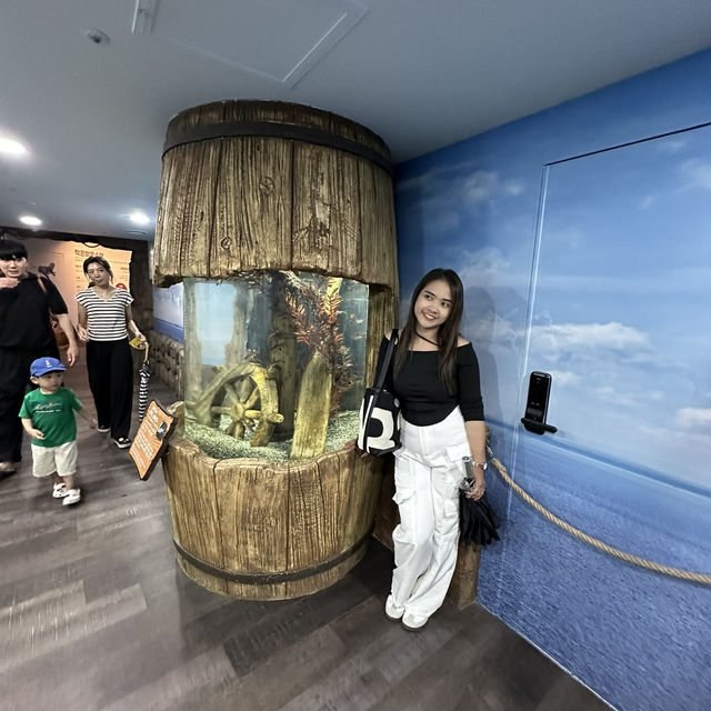 พิพิธภัณฑ์สัตว์น้ำปูซาน🦑🦀