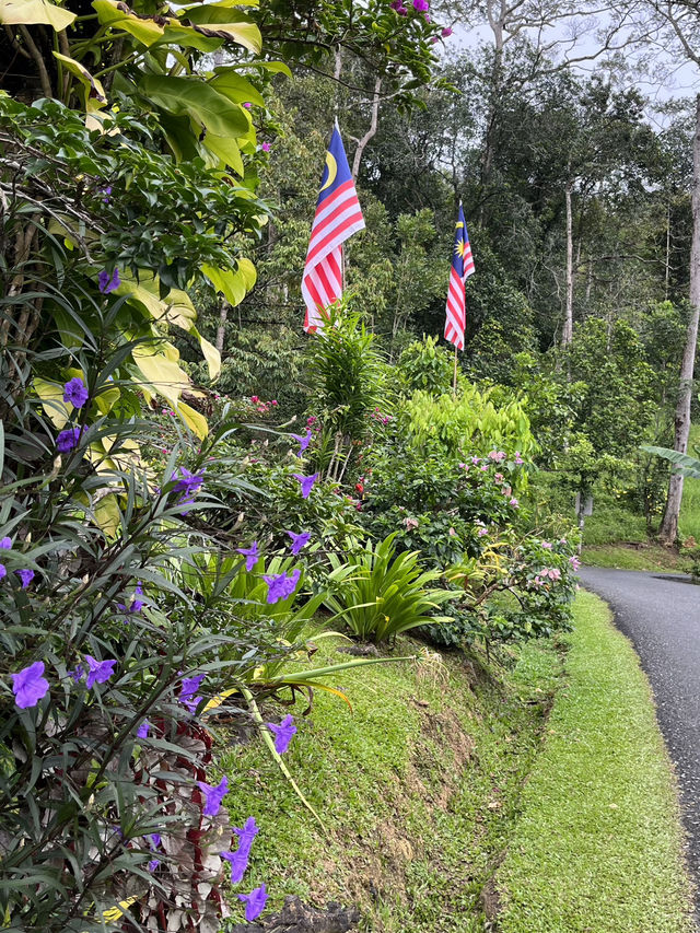 Morning Serenity: Delicious Breakfast at Dusun Nakawan 🇲🇾