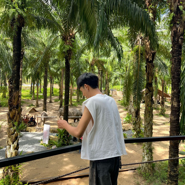 คาเฟ่กระบี่