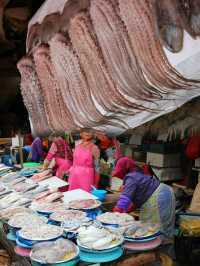 Savoring the Sea: A True Local Experience at Busan's Jagalchi Market