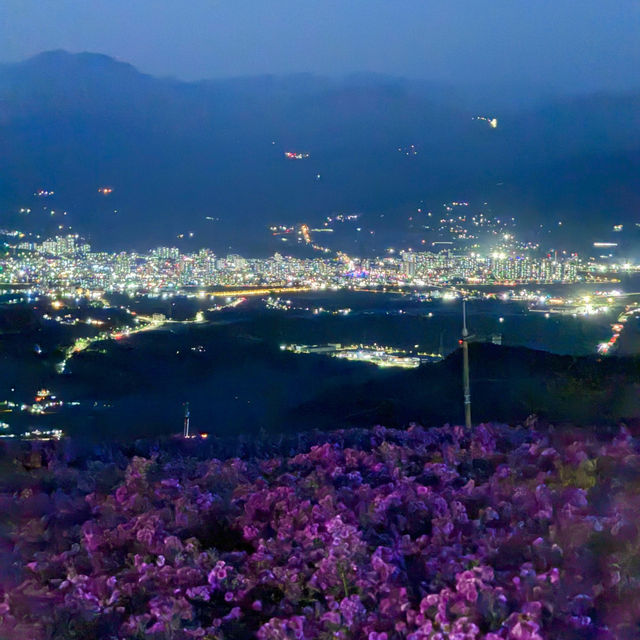 온통 보랏빛물결 거창 감악산 일몰부터 야경까지💜