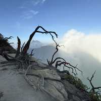 A Journey Through the Hidden Wonders of East Java