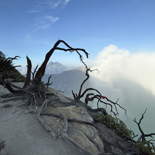 A Journey Through the Hidden Wonders of East Java