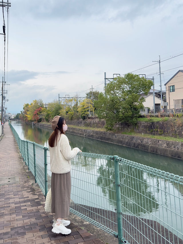 勁多打卡位！京都伏見稻荷大社⛩️