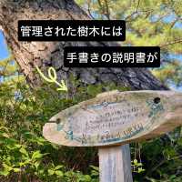 知多半島の旅　明治天皇縁の地　雁宿公園