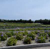 名花之里日式花園