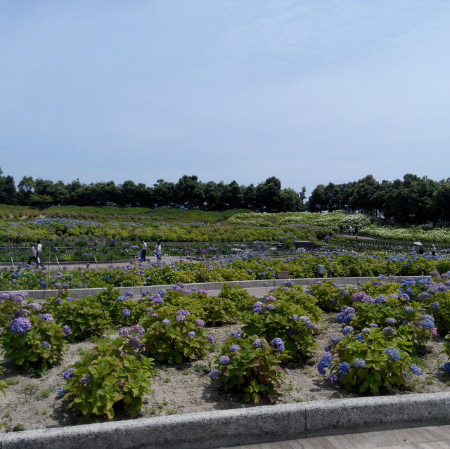 名花之里日式花園