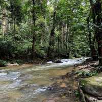 Enjoy the green shower - Sg Congkok