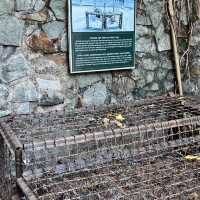 War Remnants Museum will make you shed a tear or two!!