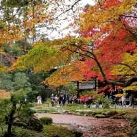 【京都】地下鉄蹴上駅から行く紅葉の名所「南禅寺」