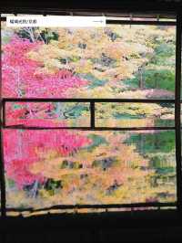 【だんだんと秋も深まるこの時期に🍂】10月に行きたい絶景スポット５選✨