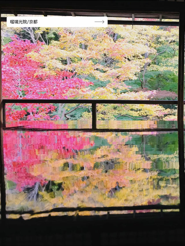 【だんだんと秋も深まるこの時期に🍂】10月に行きたい絶景スポット５選✨