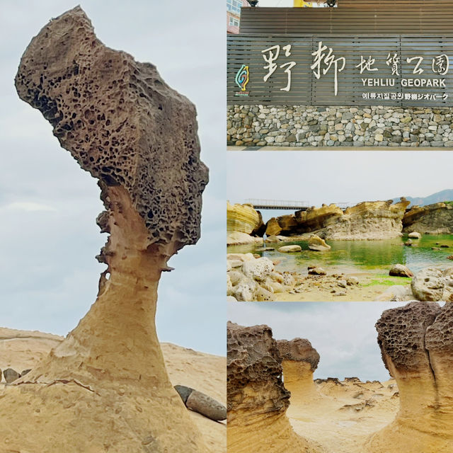 探索台北的自然奇觀 — 野柳地質公園