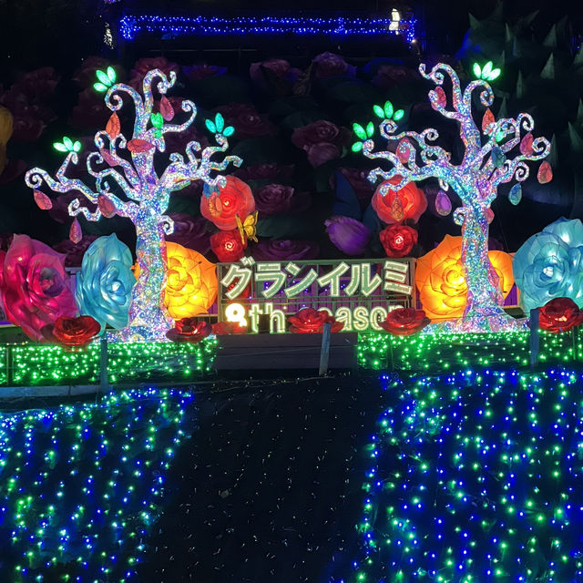 【静岡】伊豆最大級のイルミネーション🌙