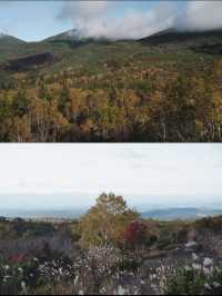 【おすすめ紅葉スポット】北海道の美瑛