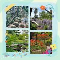 家園植物園：綠意自然樂園 🌿🌼