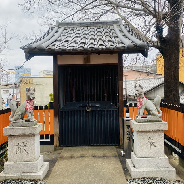 大坂ㅣ參天巨木加持ㅣ有神靈的澁川神社
