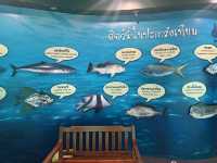 กำเงิน 30 บาทเที่ยวอควาเรียมระยอง สุดฟิน 🐠🪼