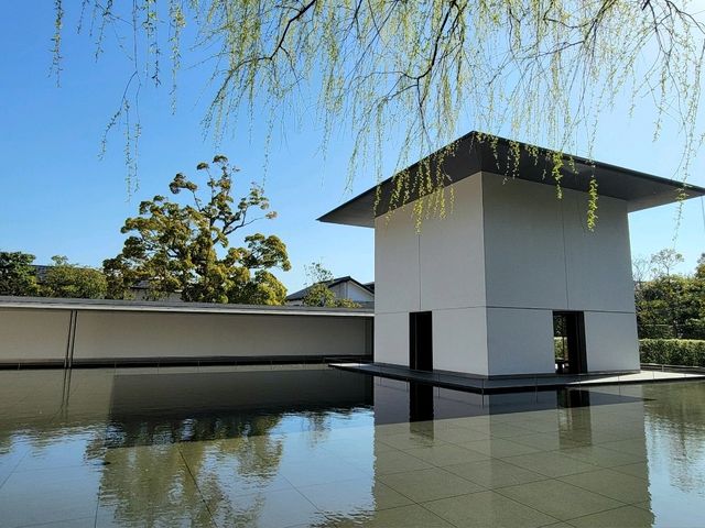 禪意宅寂之美-鈴木大拙館