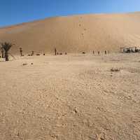 Dunes Of Africa 