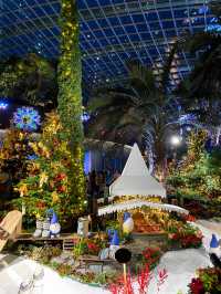 Cloud Forest at Gardens by the Bay