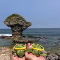 ［小琉球］花瓶岩與其生態海域和潮間帶🌊