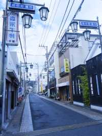 日本靜岡縣：在復古的柳樹林道「佩里之路」散步