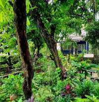 พิพิธภัณฑ์ชาวบางกอก (BKK Museum)