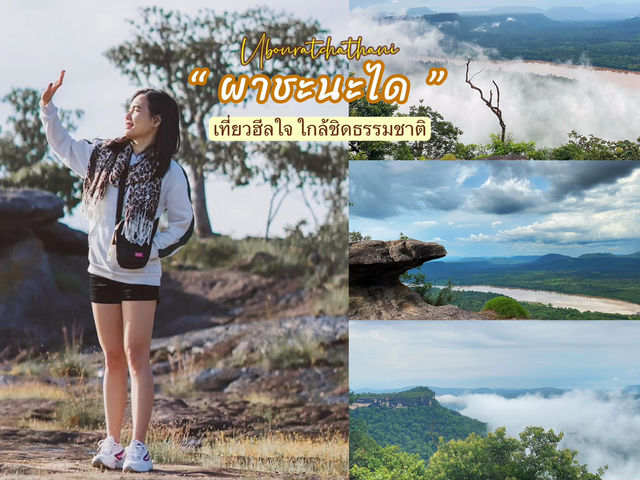 เที่ยวธรรมชาติหน้าฝน - ผาชะนะได อุบลราชธานี
