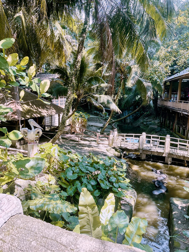 馬來西亞城市の農場像熱帶叢林，動物們像在比誰更可愛的動物園！