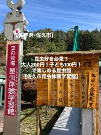 【佐久市】昆虫好き必見！子ども1人100円で楽しめる昆虫館！