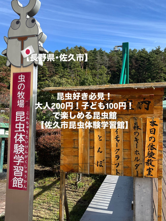 【佐久市】昆虫好き必見！子ども1人100円で楽しめる昆虫館！