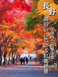 【長野】湖畔に広がるもみじその数1万本🤩彩り豊かな紅葉スポット🍁訪問攻略付き