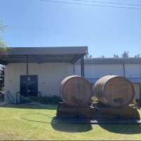  McGuigan Wines Cellar Door：亨特谷的葡萄酒體驗 🍷🌿