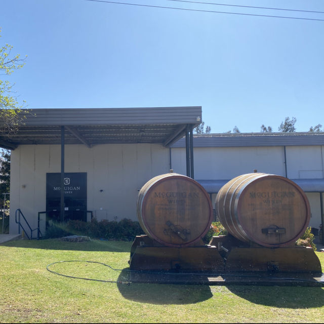 McGuigan Wines Cellar Door：亨特谷的葡萄酒體驗 🍷🌿