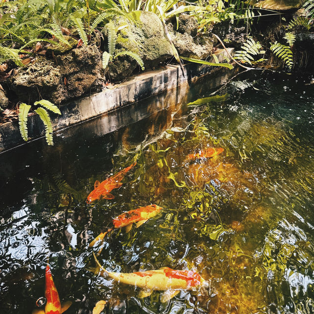 #อสงไขยคาเฟ่ #คาเฟ่ระยอง #คาเฟ่บ้านเพ 