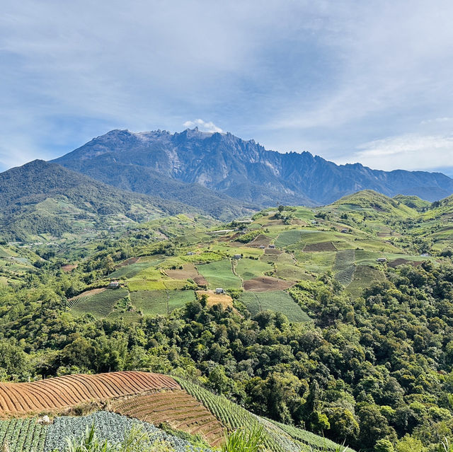Chasing Kinabalu: My Adventure-Filled Road Trip to Kundasang!