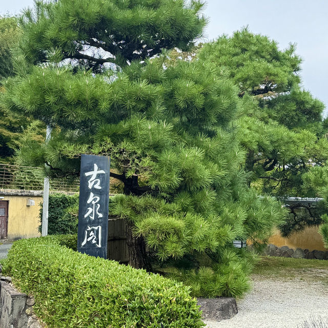 第一次去有馬溫泉