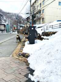 【北海道:登別】北海道遺産に認定されている登別地獄谷