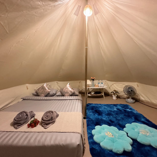 #ที่พักภูชี้ฟ้า #ชิวชิวแคมป์ #วิวหลักล้าน 