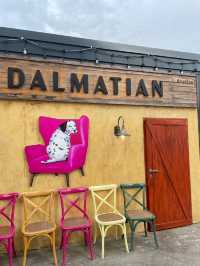 Dalmatian 달마시안 Siam Square Block I 🐶