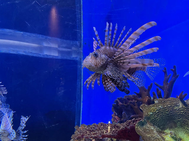Manila Ocean Park