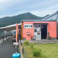 【佐伯】貝類、お刺身🐟が安い！新鮮！✨