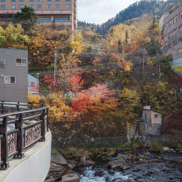 조잔케이의 풍경을 볼수 있는 중심부 다리