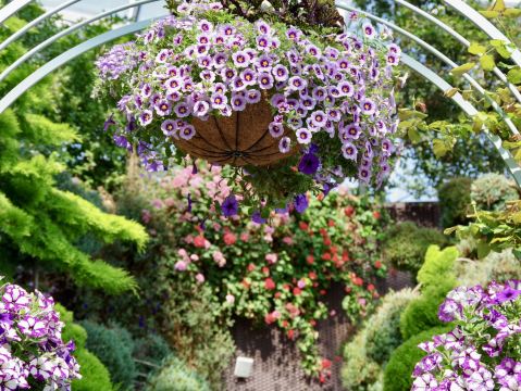 シンガポール】緑と花のアミューズメント💐 | Trip.com シンガポール