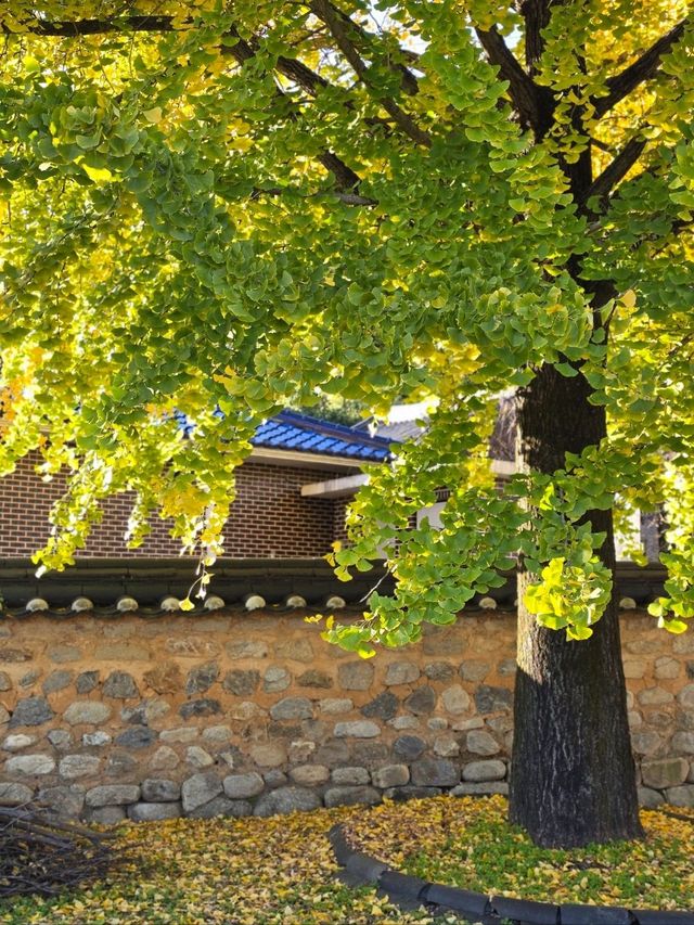 조금은 특별한 거창 시크릿 은행스팟💛