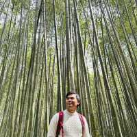 Lost in Arashiyama’s Magical Bamboo Forest!