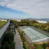JR博多駅ビルの屋上展望台「つばめの杜ひろば」