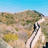 秋遊北京：八達嶺長城賞楓 (十一月初太遲落葉了)